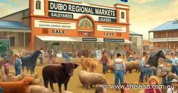 Agents say Dubbo saleyards are no joke as artificial image draws criticism