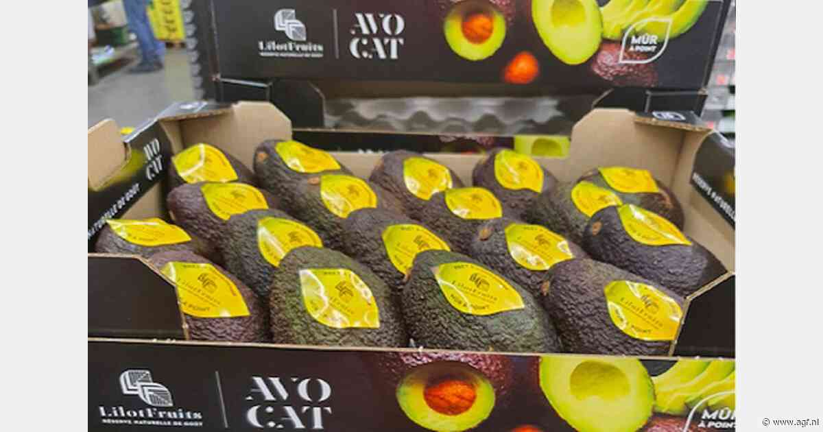 "We ontvangen 15% minder Peruaanse avocado's"