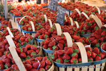 Pourquoi les prix des fraises françaises baissent dans les supermarchés, les consommateurs invités à en acheter