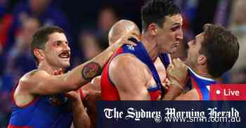 AFL 2024 round 13 LIVE updates: Lions strut their stuff, deliver knockout blow to Doggies