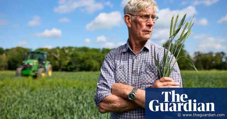 ‘Cannot be trusted’: traditional farming voter base turns away from Tories