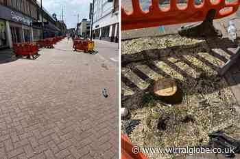Why trees in Birkenhead centre are being cut down