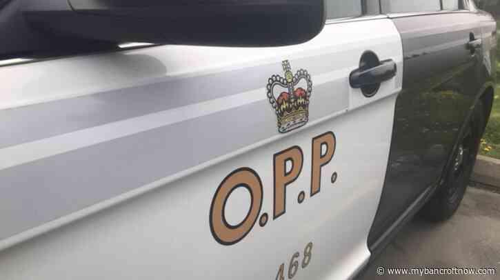 OPP looking for Honda Civic stolen in Beachburg 