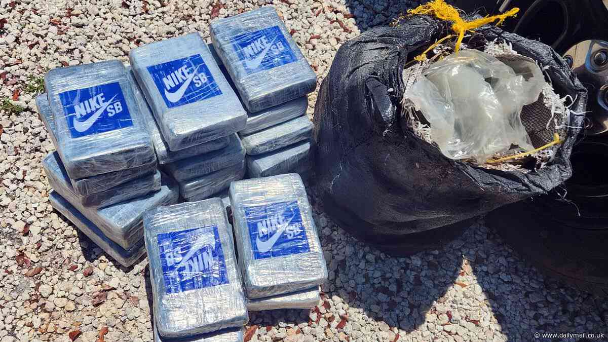 Florida scuba divers find suspected cocaine packages in Atlantic Ocean