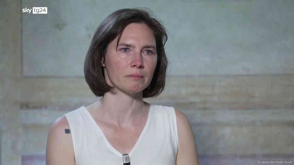 'I am not Foxy Knoxy, I am Amanda Knox and I have not slandered or killed': Knox lashes out at 'fantasy' idea of who she truly is and says she and Meredith Kercher 'are all victims' in new TV interview