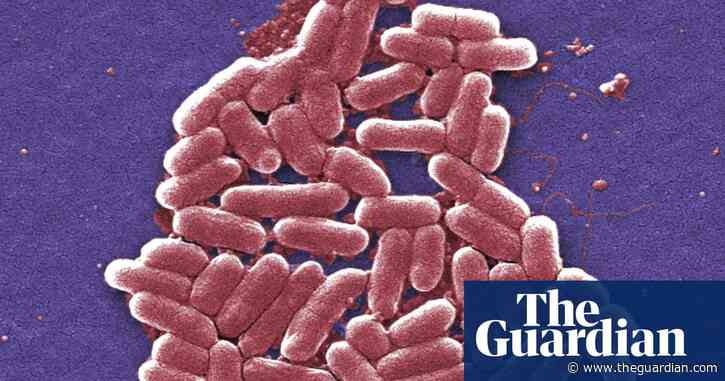 ‘More E coli cases in UK likely’ amid environmental health staff shortage