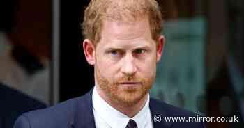 Prince Harry 'wants peace' with the Royal Family for the sake of Princess Diana