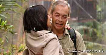 Nigel Farage's failed marriages and relationship with waitress he offered to house