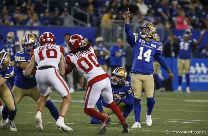 Bombers kicker Castillo critical of CFL’s use of chipped footballs