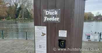 Eco-friendly duck feeders installed in three Hull Parks are a 'quacking' success