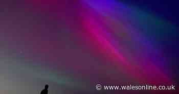 Northern lights could be visible across UK on June 7 as amber alert issued