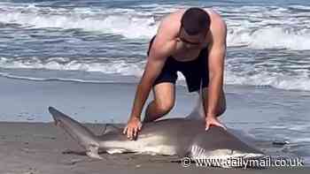 Wild moment New Jersey beachgoer grabs a SHARK by the tail and hurls it back out to sea