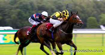 Horse Power: Ramazan can win the John Of Gaunt Stakes at Haydock Park