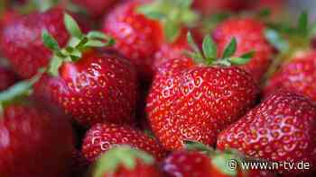 Lifehacks für Haltbarkeit: Erdbeerzeit! So bleiben die Früchte lange frisch