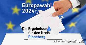 Ergebnisse Europawahl 2024 Kreis Pinneberg: Welche Partei liegt vorn?