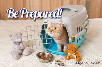 June is National Pet Preparedness Month
