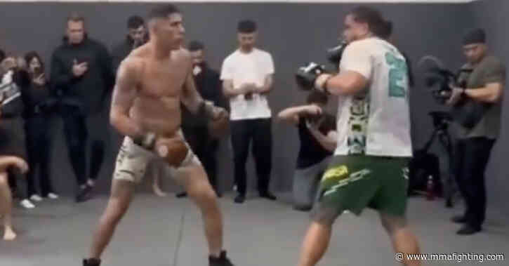 Watch Alex Pereira take on UFC heavyweight Tai Tuivasa in sparring