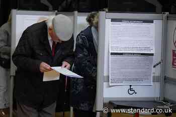 Final hours of voting in three landmark elections in Ireland