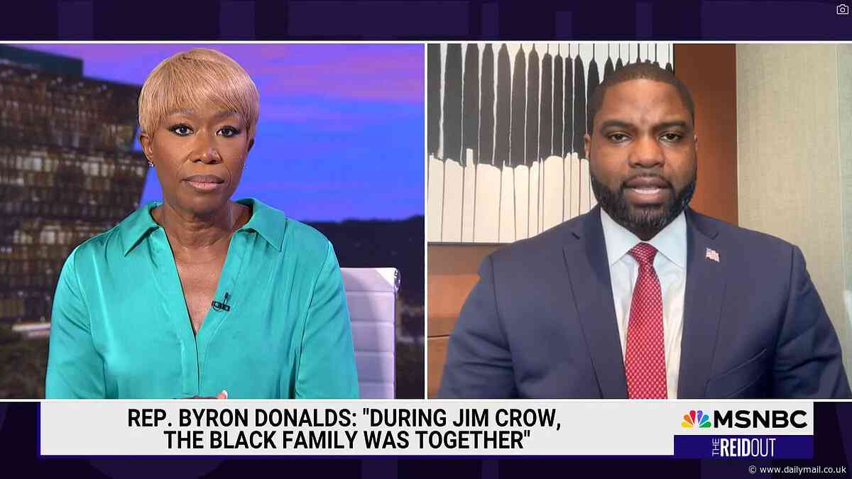 Byron Donalds accuses Joy Reid of 'gaslighting' her audience as he defends Jim Crow comments in tense interview