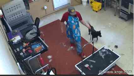 Santa Fe groomer charged with 8 counts of extreme animal abuse