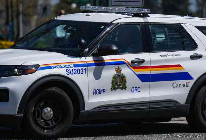 B.C. man draws police emergency response team twice this week after assault arrest