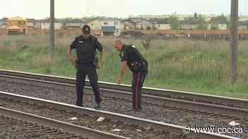 Pedestrian hit by train at level crossing in Transcona, Winnipeg police say