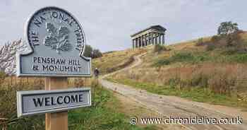 Penshaw Monument 'pizza cafe' plans withdrawn after public opposition and National Trust objection