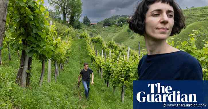 From parched earth to landslides: crisis in the prosecco hills of Italy