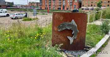 'I walked the Hull Fish Trail for the first time and gained a whole new appreciation for our city'