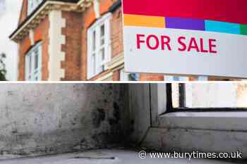 Black mould could devalue your home by up to £50,000
