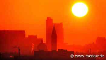 Sommerhitze bricht alle Rekorde – deutsche Studie zeigt fatale Folgen für Menschen