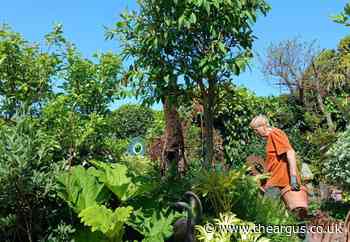 Geoff Stonebanks gardening column: Great gardens to visit this week