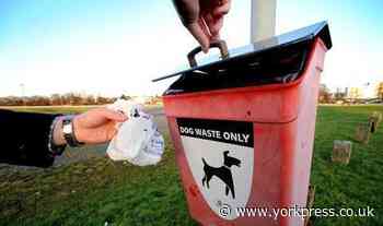 Dog poo in York: 'How ignorant some dog owners are' - letter