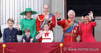 Behind the scenes of Trooping the Colour - soldiers fainting, photo rules and royal kids