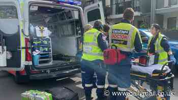 Blacktown, Sydney: Three-year-old boy rushed to hospital with head injuries after being struck by a car