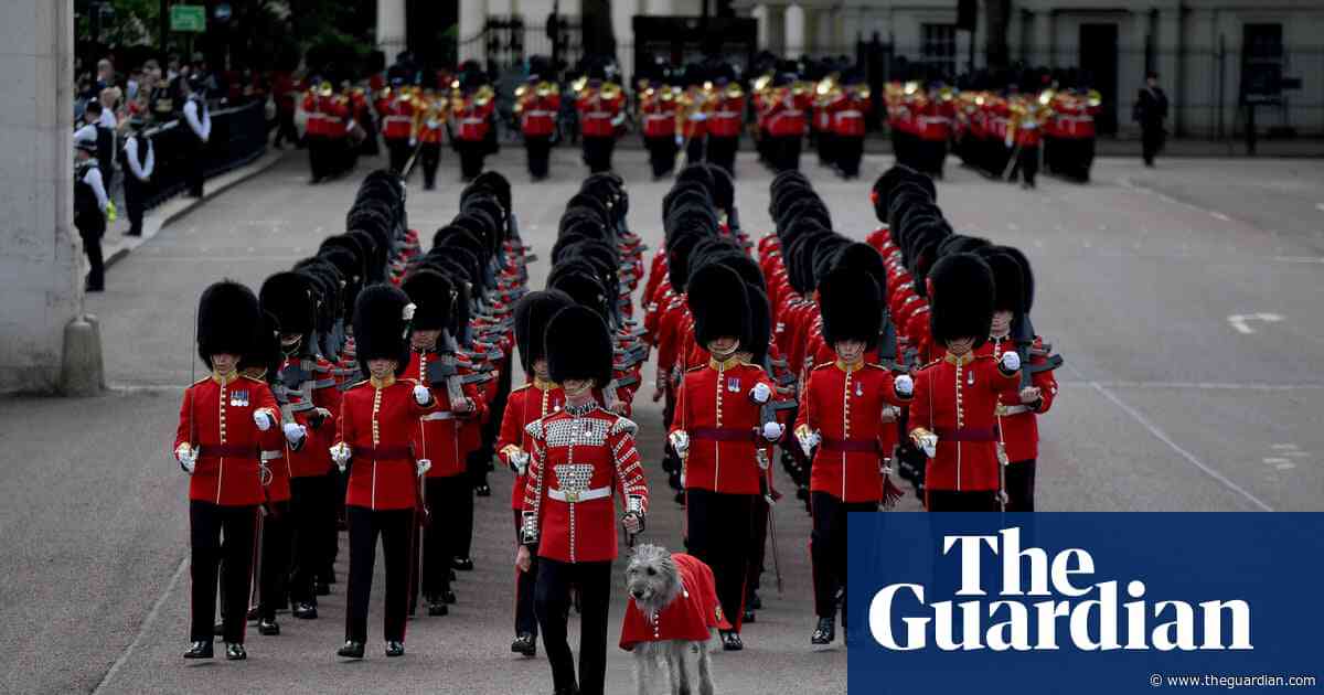 Princess of Wales sends apology to Irish guards for missing parade