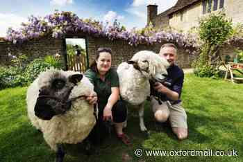 Cogges Manor Farm wins Oxfordshire volunteering prize