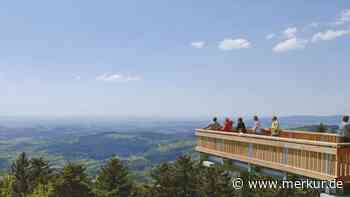 Erkunden Sie den Bayerischen Wald aus der Höhe mit dem Waldwipfelweg Sankt Englmar