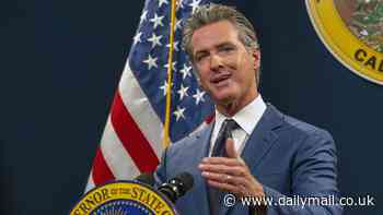 Gavin Newsom slammed for his approach to illegal weed as organized crime spirals in California amid 80% drop in raids by flagship taskforce
