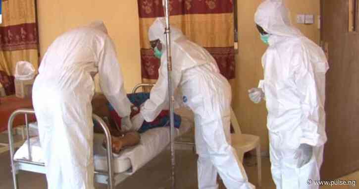 Lassa fever cases rise significantly with 162 deaths in 2024