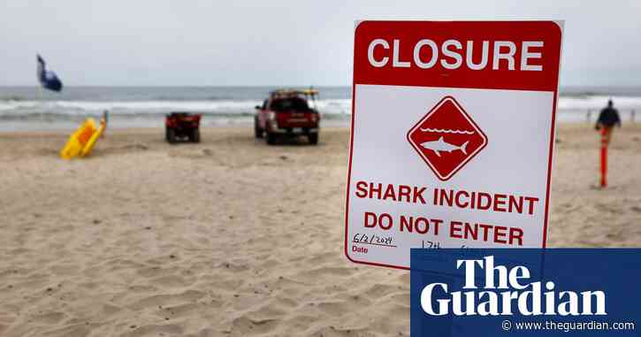 Sharks attack three swimmers off two Florida beaches