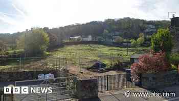 Former allotment site can't be developed - judge