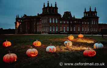Experience Halloween at Blenheim Palace with 'spooky' trail