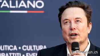 Profi-Investoren verlieren die Geduld mit Tesla-Chef Elon Musk