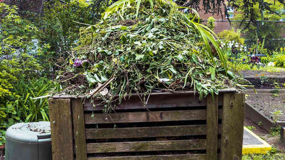 Humus ist ein wahrer Alleskönner: Das Gold des Gartens: So gelingt der Kompost