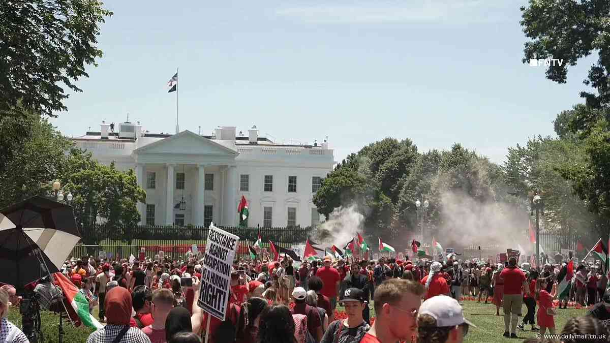 Massive pro-Palestine protest at White House descends into chaos as smoke bombs go off and attendees claim they've been MACED