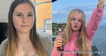 Welsh police searching for two missing girls