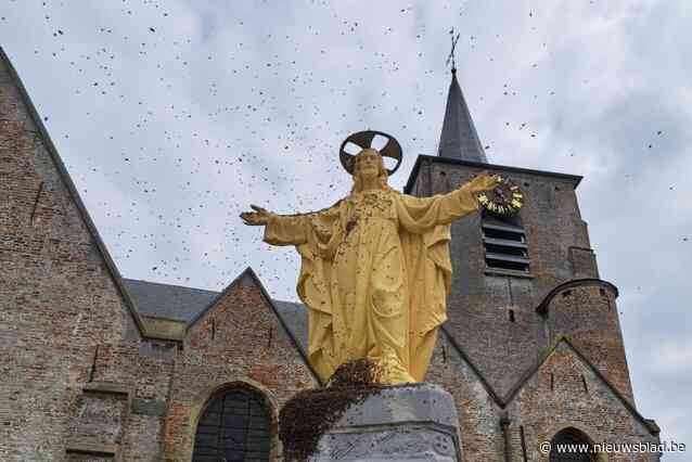 Bijenzwerm viseert Christusbeeld aan kerk Pepingen