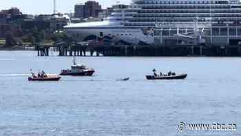 'Several' injured after plane goes down in Vancouver harbour: Vancouver police