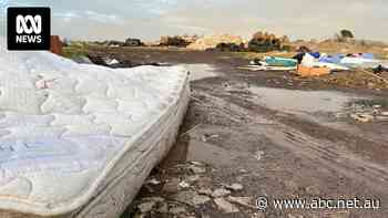$20 to take an old mattress to the tip sounds like a steal ... but where is the rubbish ending up?